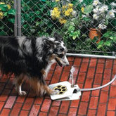 Outdoor Dog Pet Water Fountain - Nextronix.UK