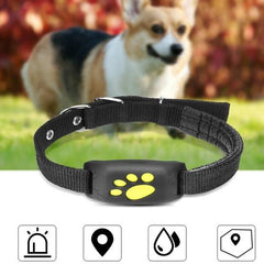 GPS Pet Tracker - Nextronix.UK