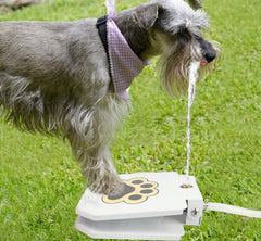 Outdoor Dog Pet Water Fountain - Nextronix.UK